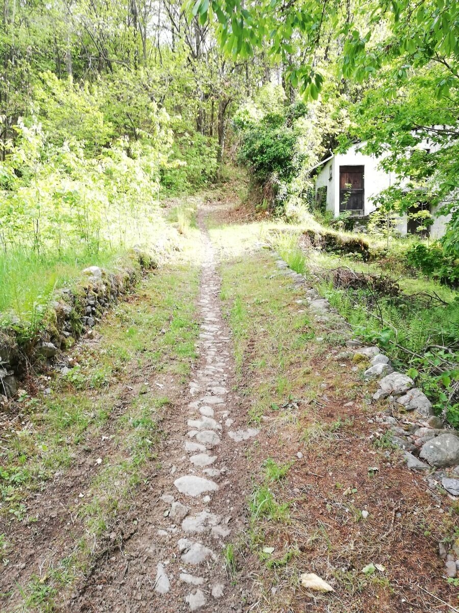 Img2 96364062 Default Variant