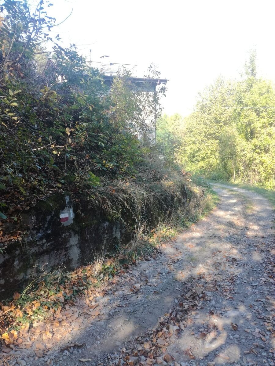 Img2 96364063 Default Variant