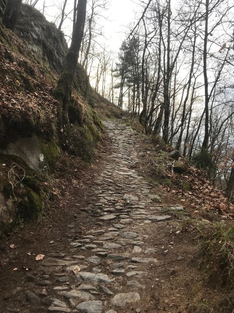 Img2 96364064 Default Variant