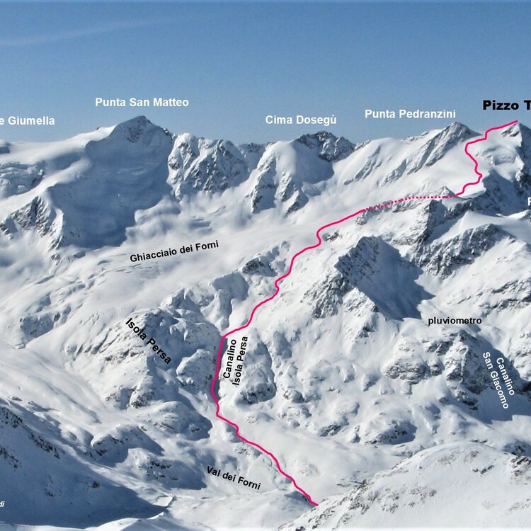 Pizzo Tresero Dai Forni 804595799