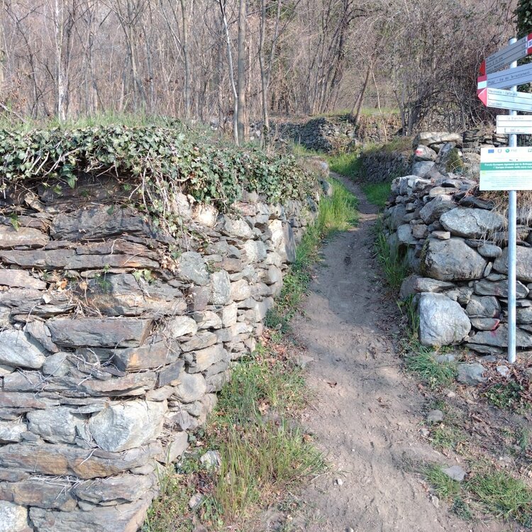 Itinerario Poggi-Montagna (bando GAL VALTELLINA)