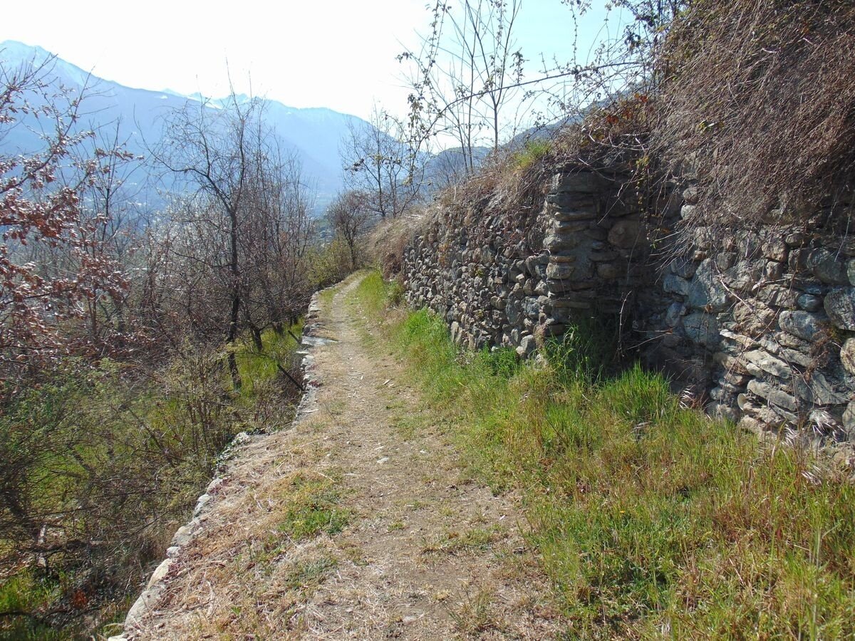 Img2 96364522 Default Variant