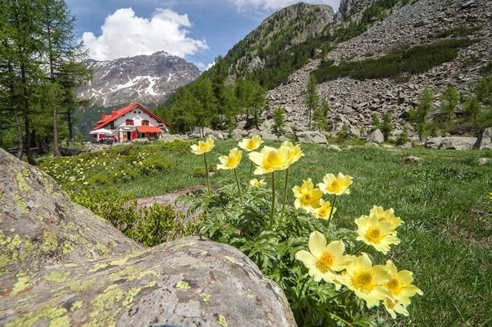 Porro And Ventina Shelters 804596740