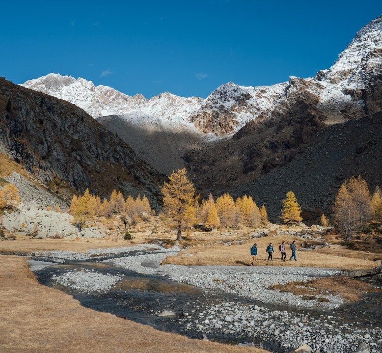 Predarossa Valley Extraordinary High Altitude Landscape 809246376