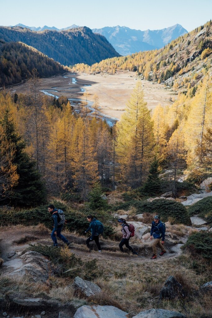 Img2 621674547 Default Variant