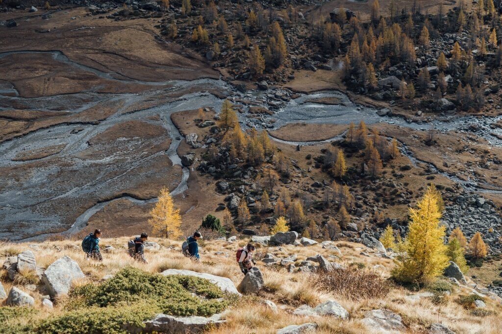 Img2 621674579 Default Variant