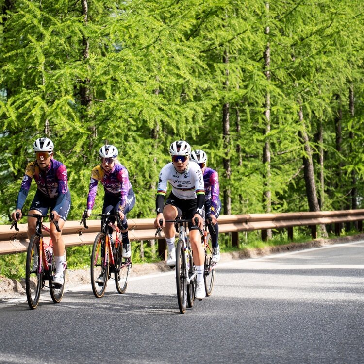 PSO. Mortirolo PSO. Gavia