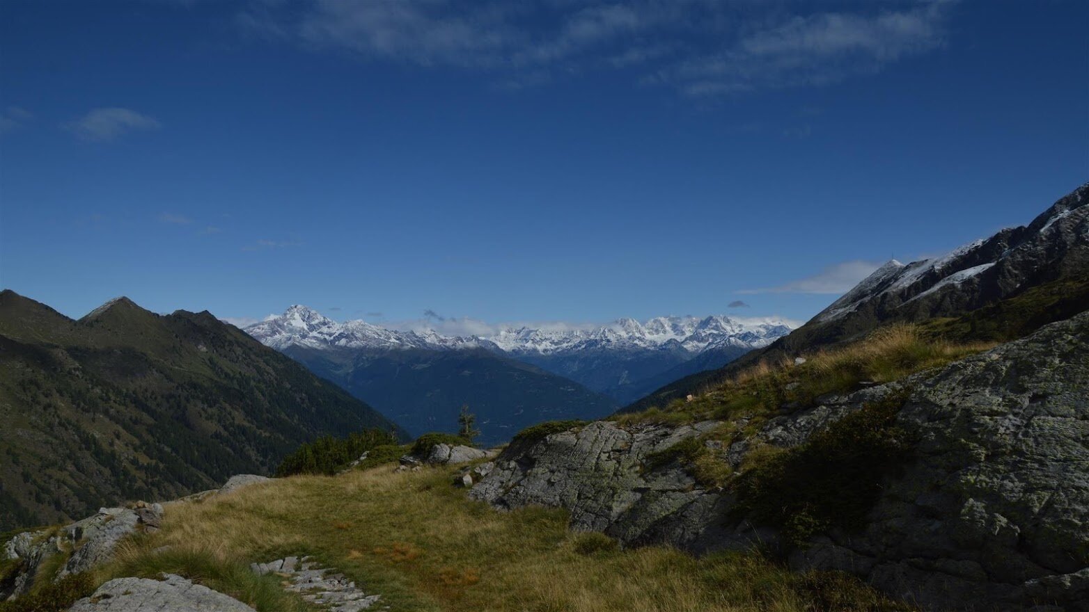 VISTA RETICHE