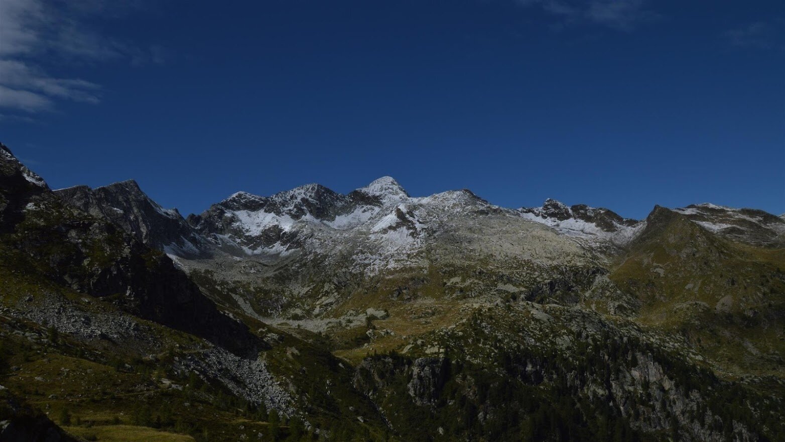 CORNO STELLA