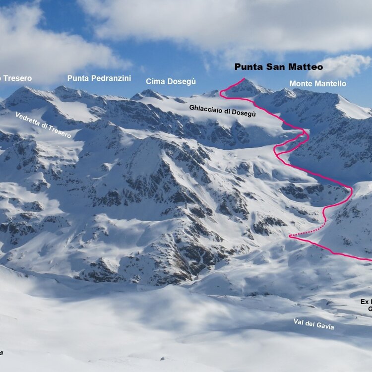 Punta San Matteo - from Gavia