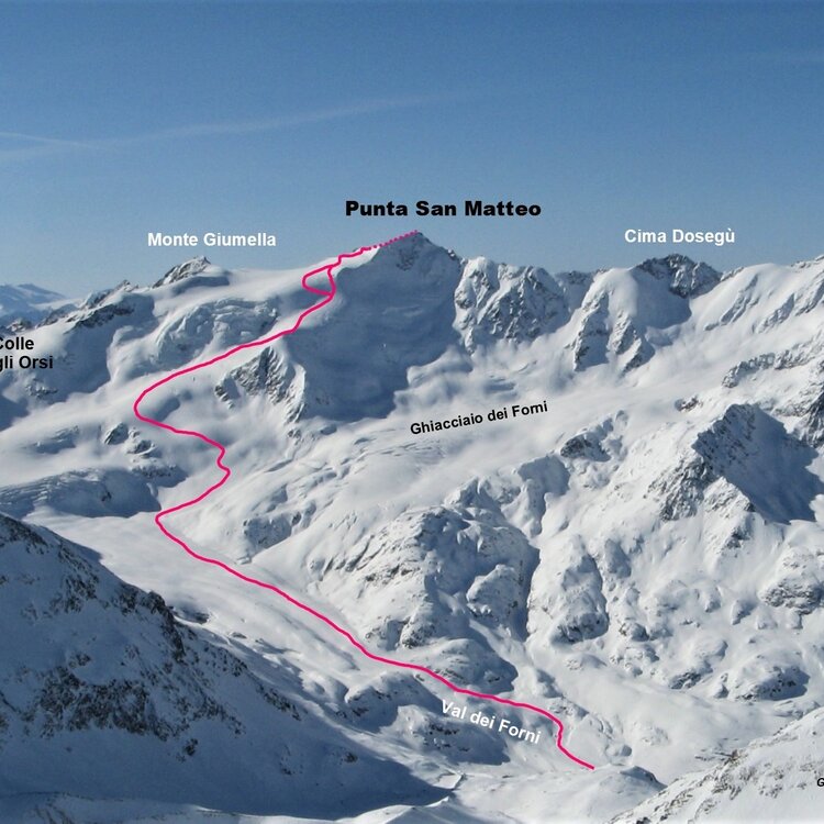 Punta San Matteo - from the Forni