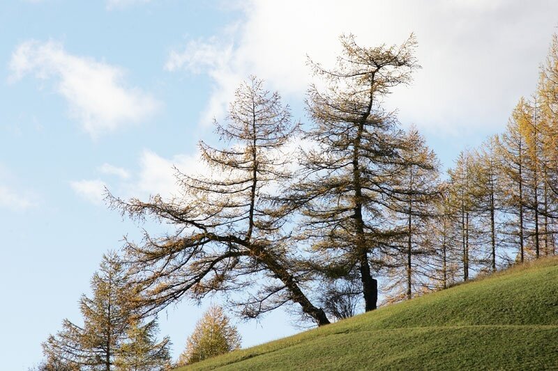 In the Stelvio National Park