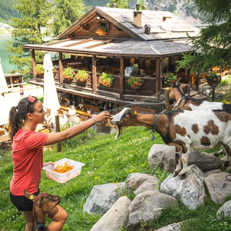 Ristoro Val Alpisella