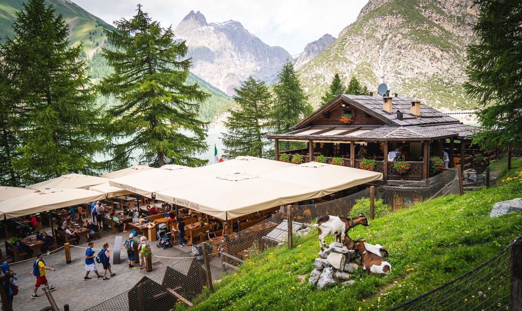 Img2 601276481 Default Variant