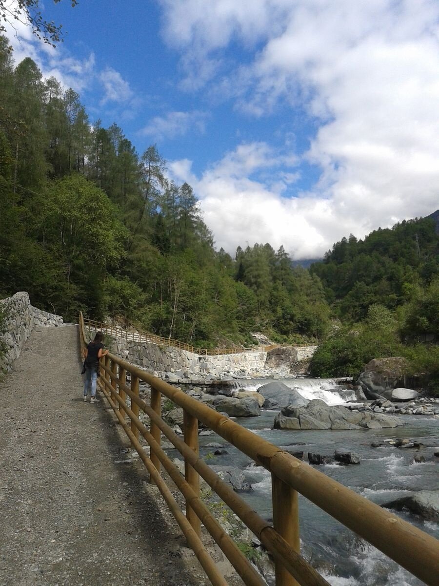 Img2 96363856 Default Variant