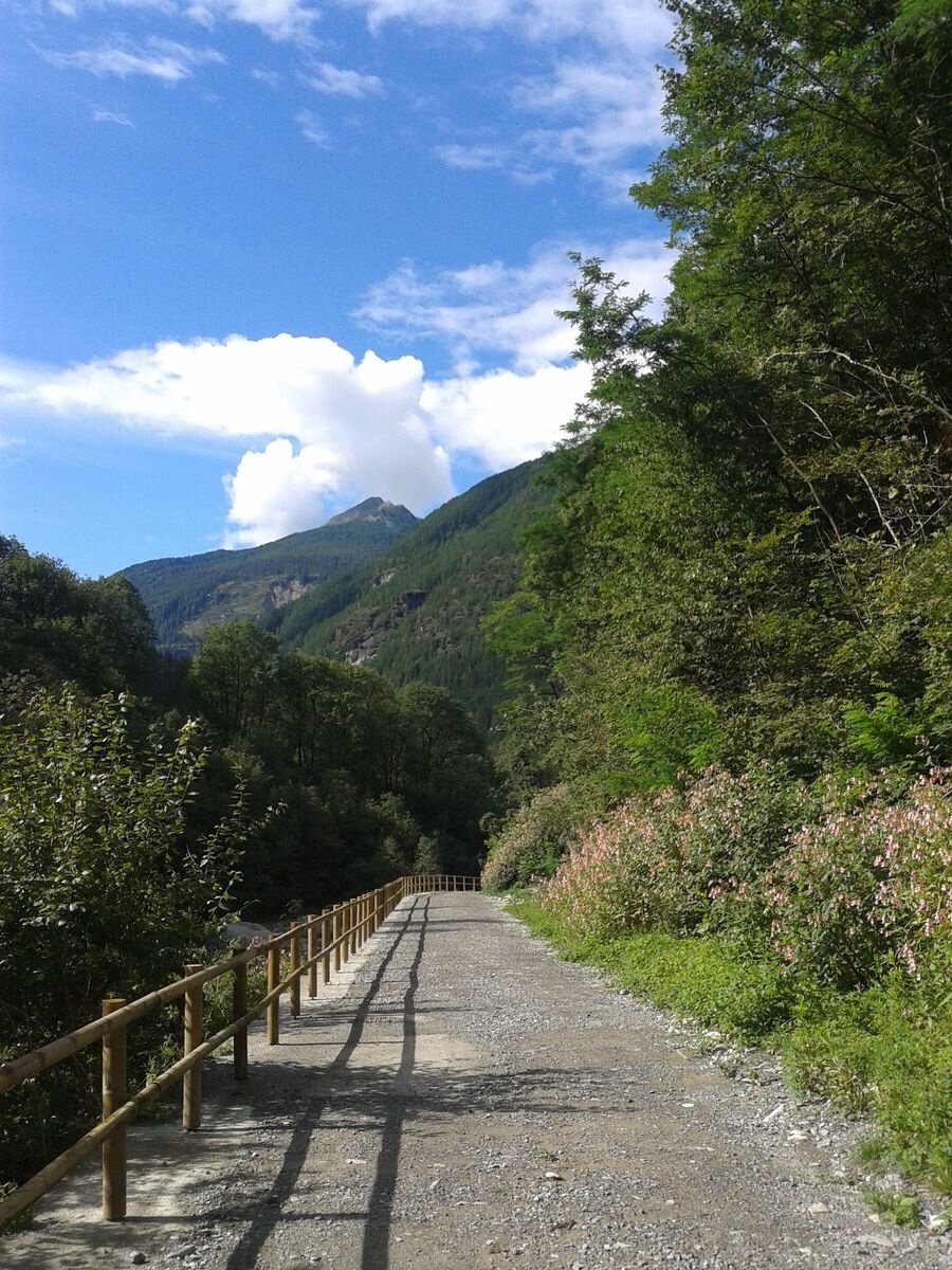 Img2 96363861 Default Variant