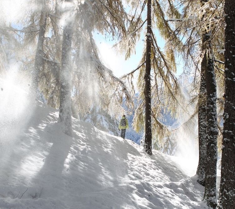 Sentiero di Sclanera