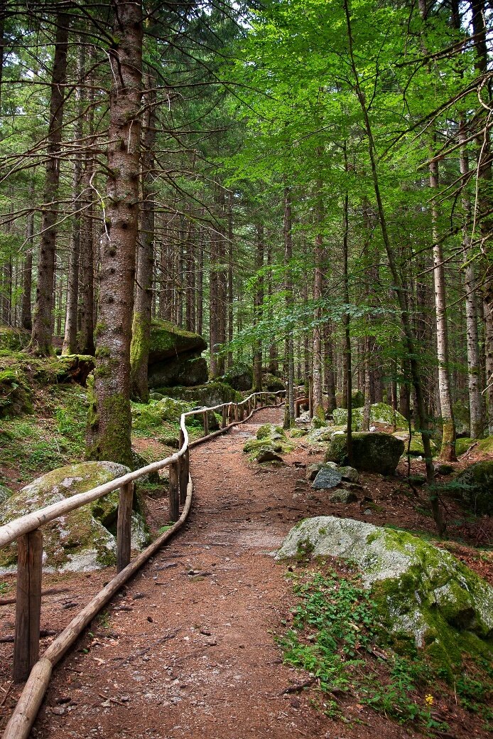 Img2 613728695 Default Variant