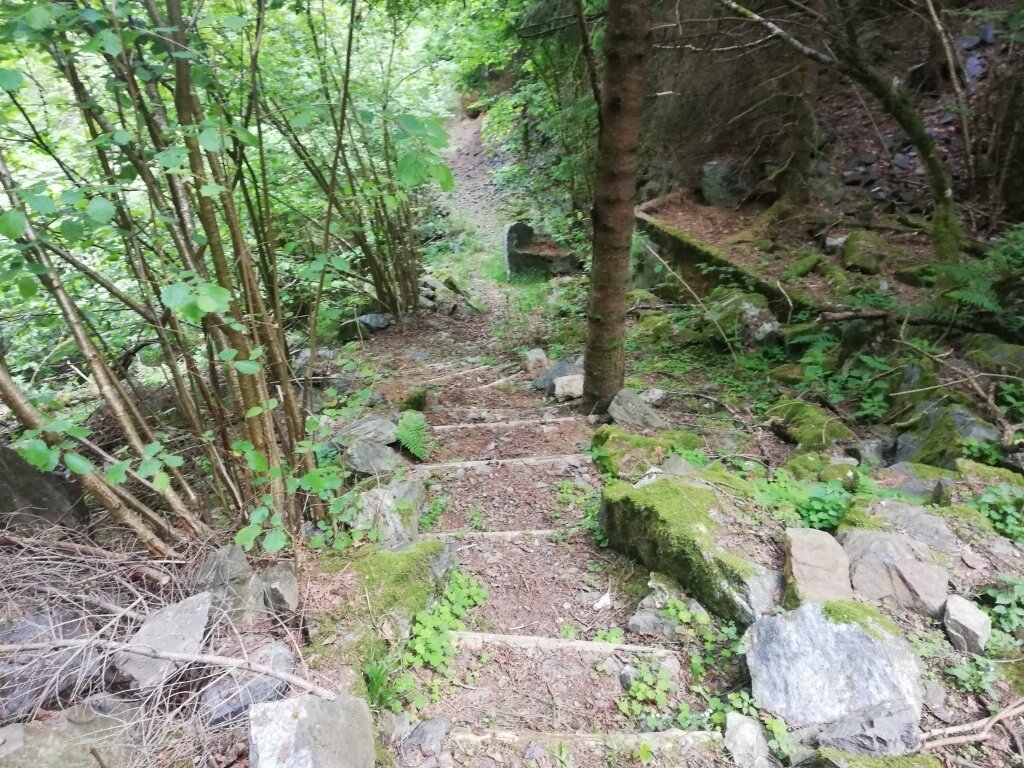 Img2 96364556 Default Variant