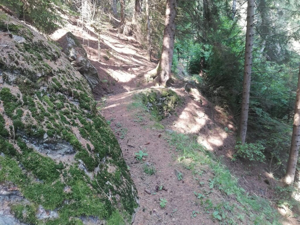 Img2 96364557 Default Variant