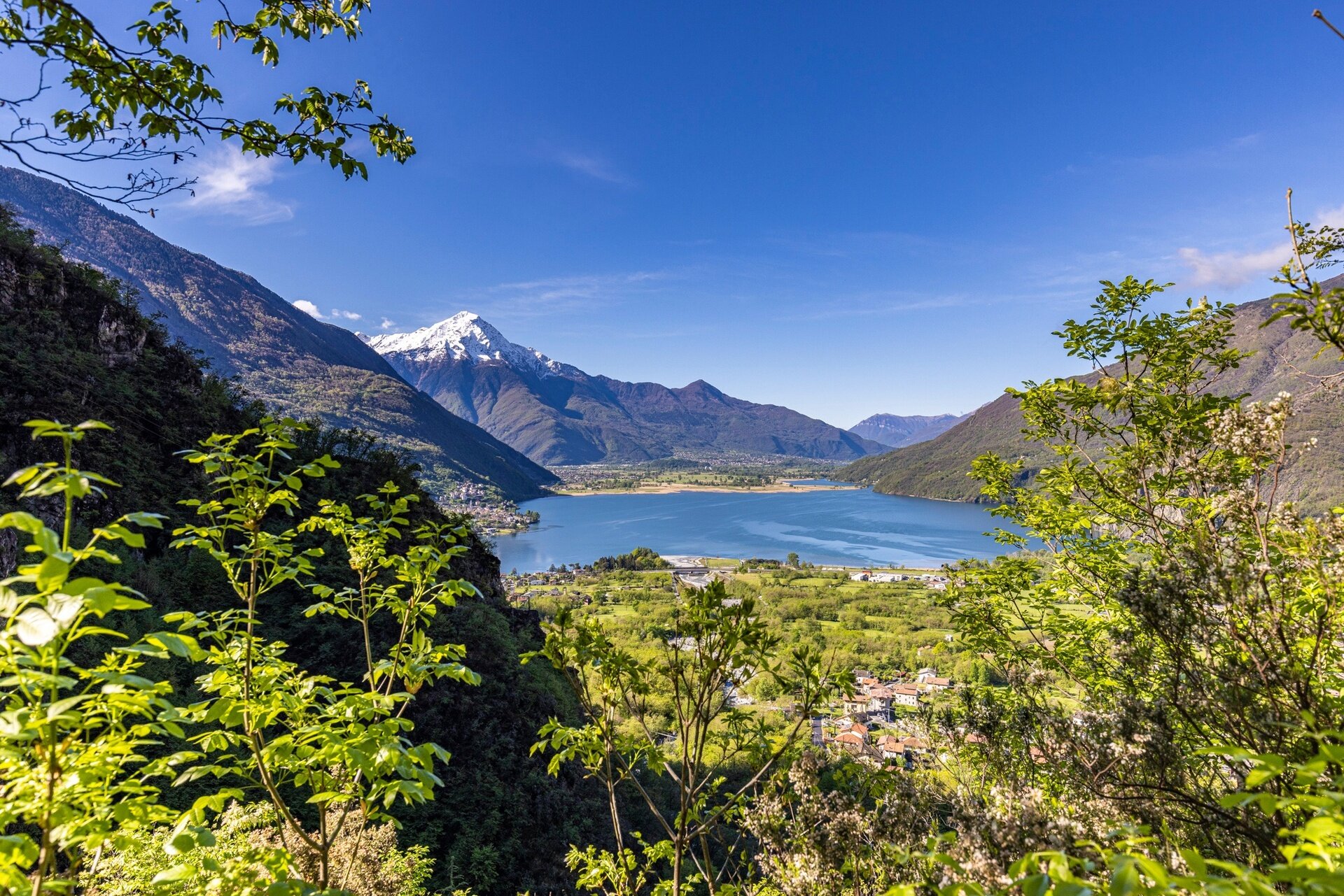 Img2 611966764 Default Variant