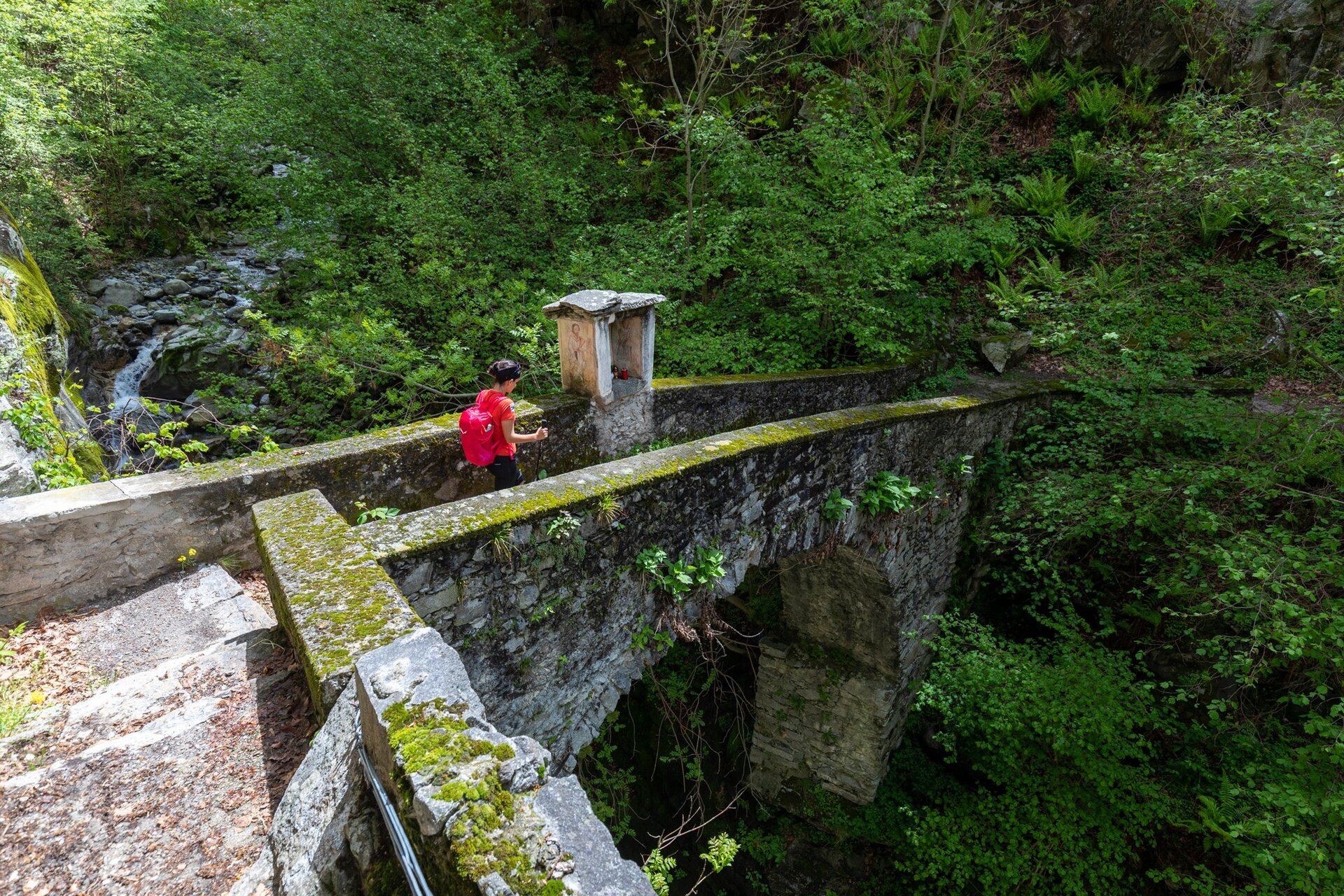 Img2 611966763 Default Variant