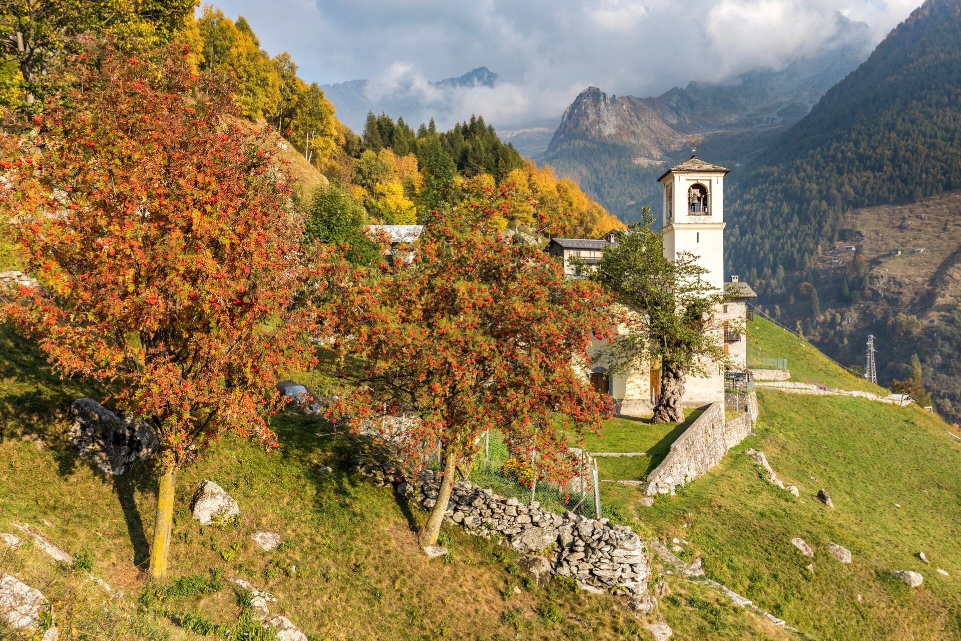 Img2 611967084 Default Variant