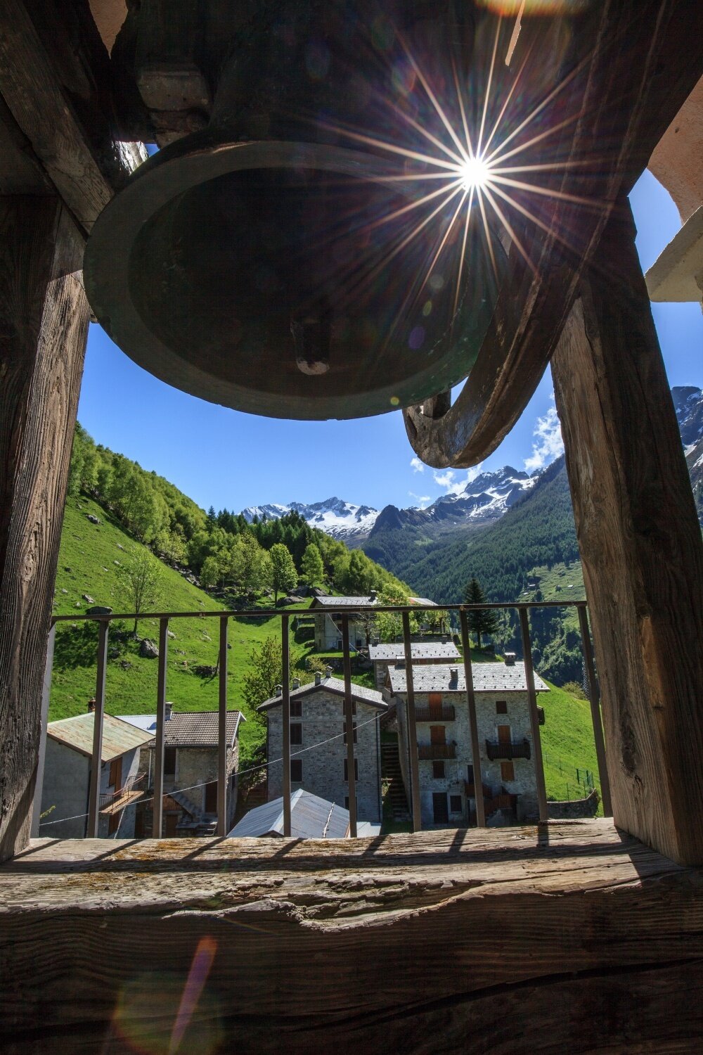 Img2 611967085 Default Variant