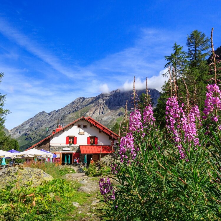 Sentiero Italia D22N - Tappa Rifugio Bosio all'Alpe Airale - Rifugio Gerli Porro all'Alpe Ventina
