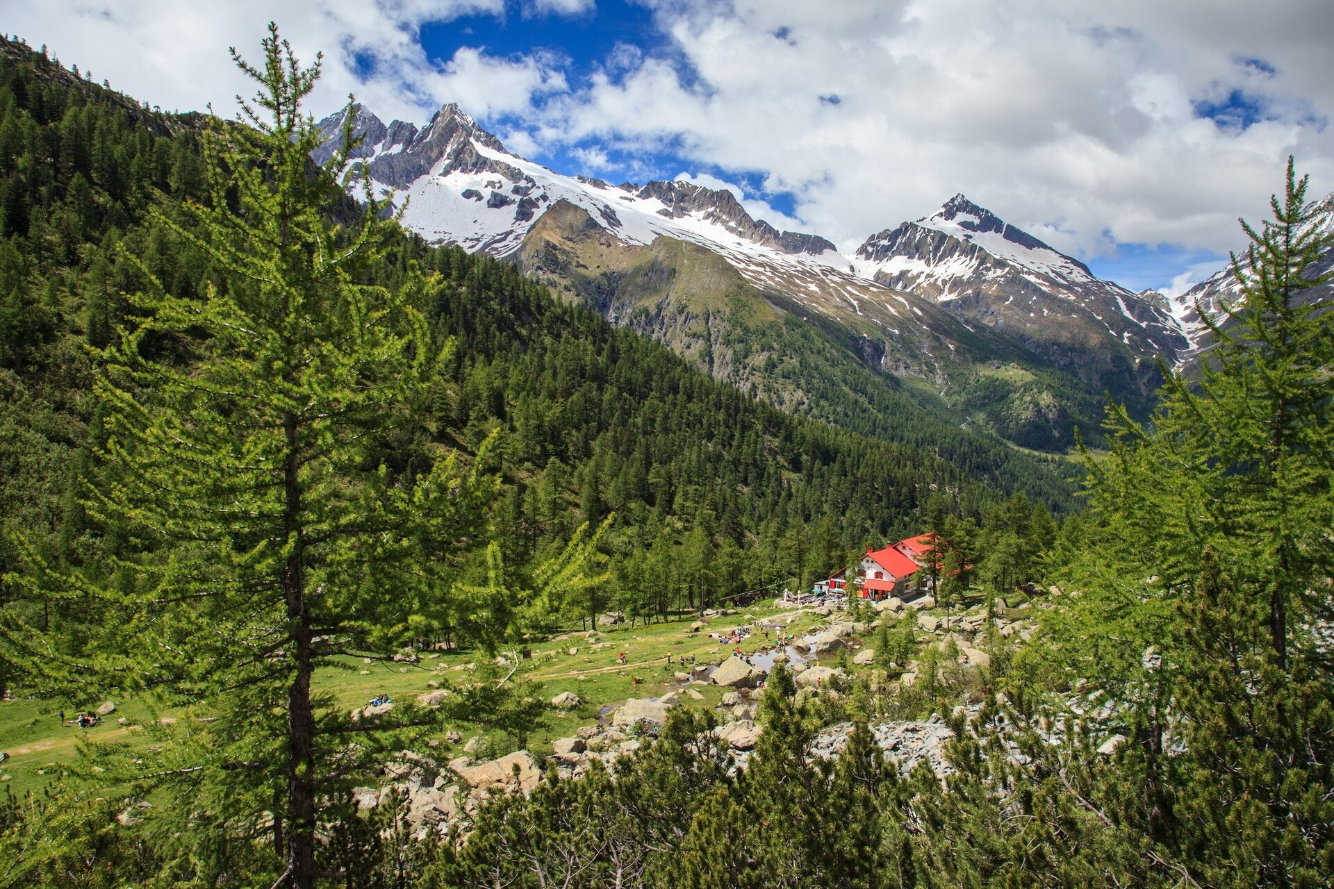 Img2 611967528 Default Variant