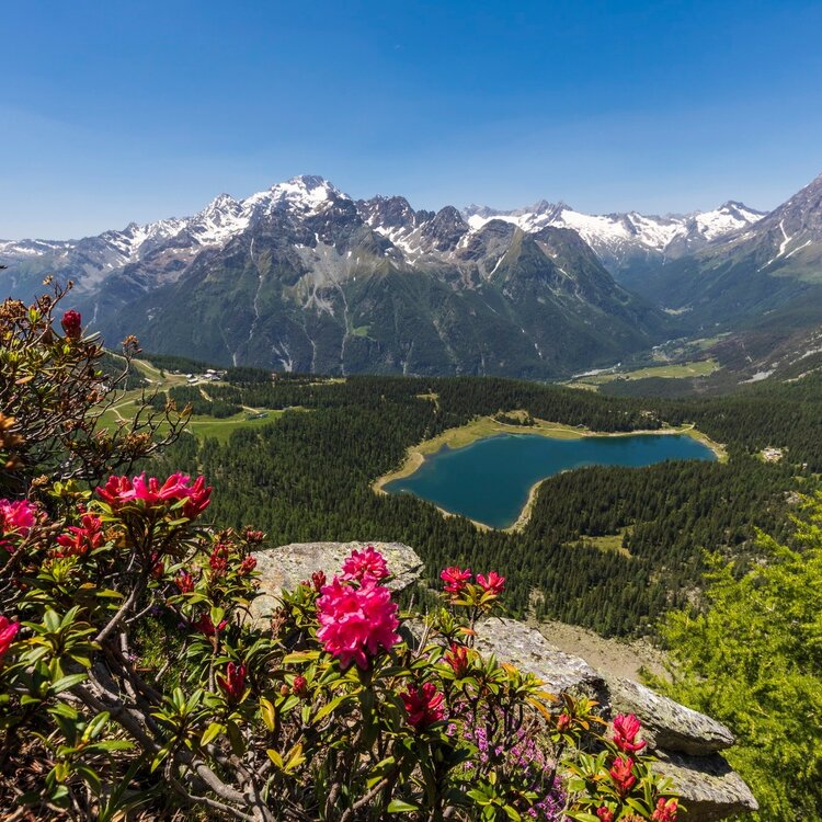 Sentiero Italia D24N - Tappa Rifugio Longoni Rifugio Palù