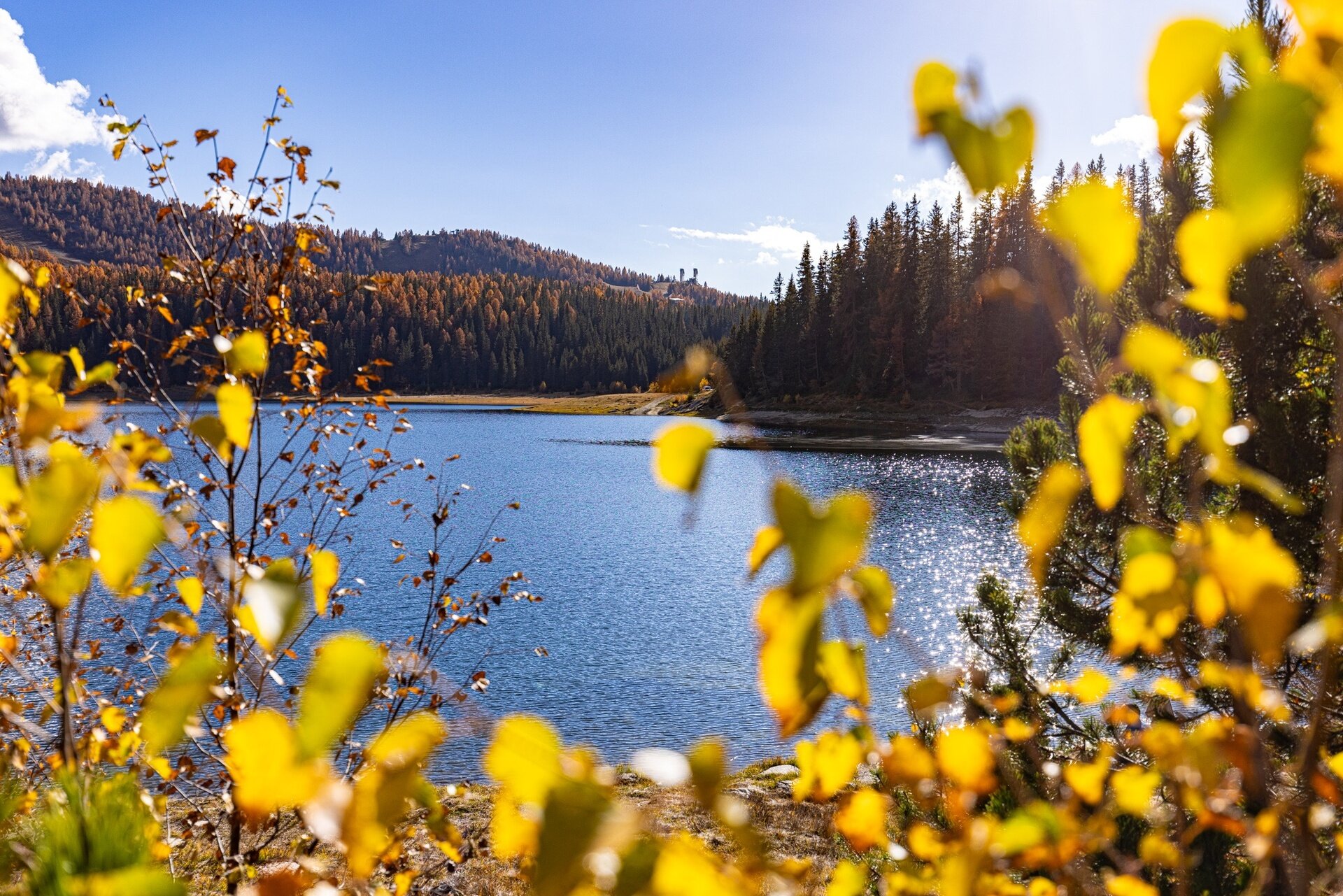 Img2 611967786 Default Variant