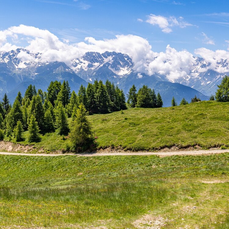 Sentiero Italia D28N - Tappa Rifugio Cederna-Maffina Prato Valentino
