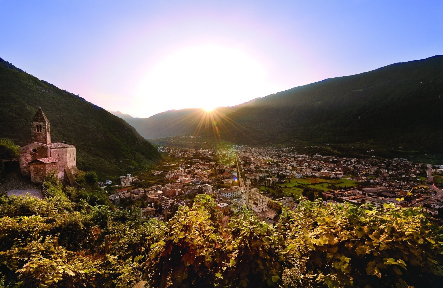 Img2 611968239 Default Variant