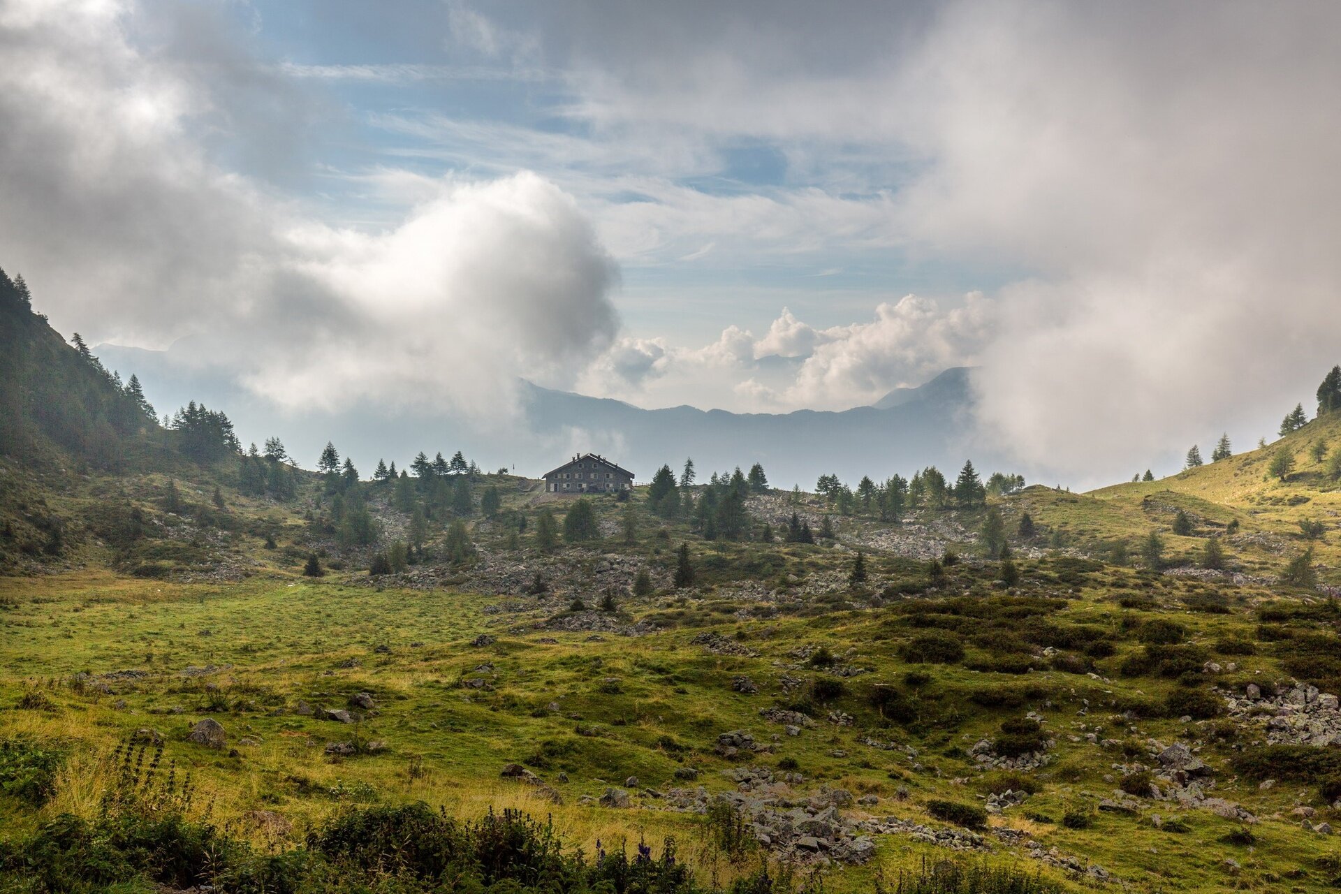 Img2 611968330 Default Variant