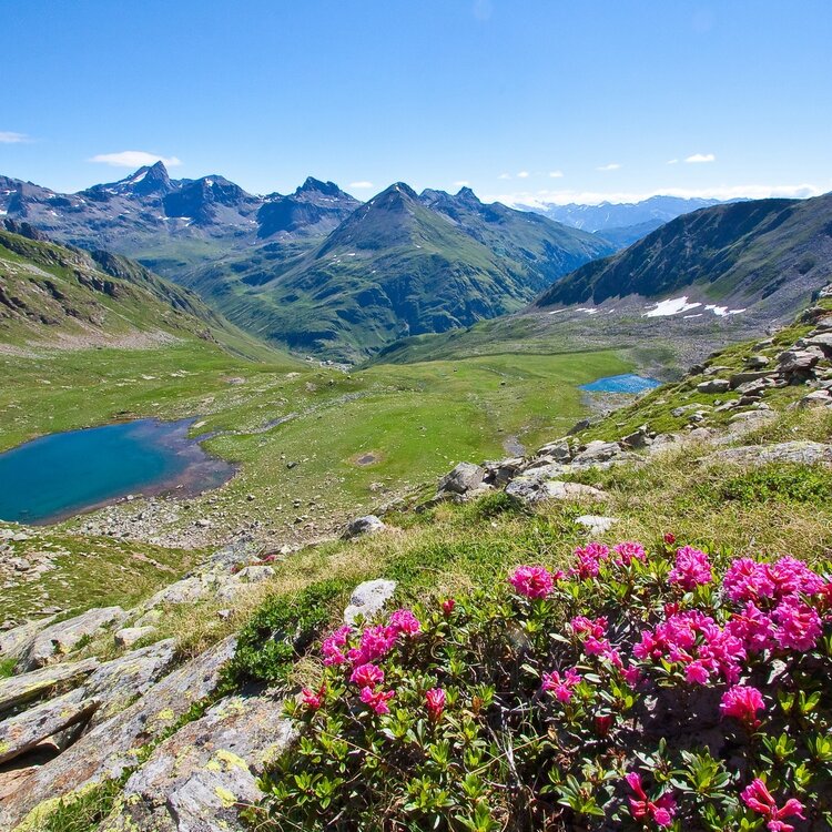 Sentiero Italia D31N - Tappa Rifugio Schiazzera - Malghera