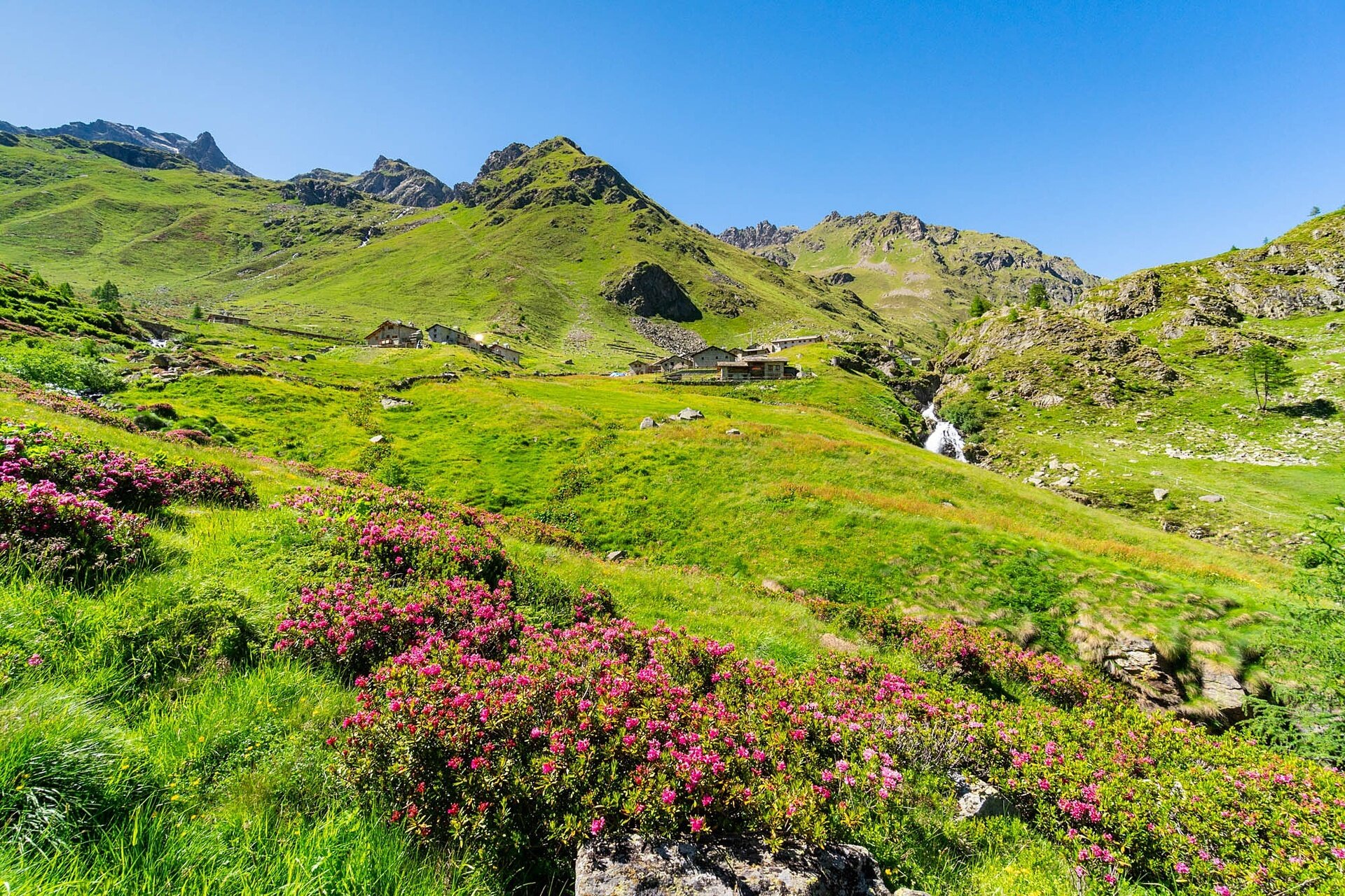 Img2 611968651 Default Variant