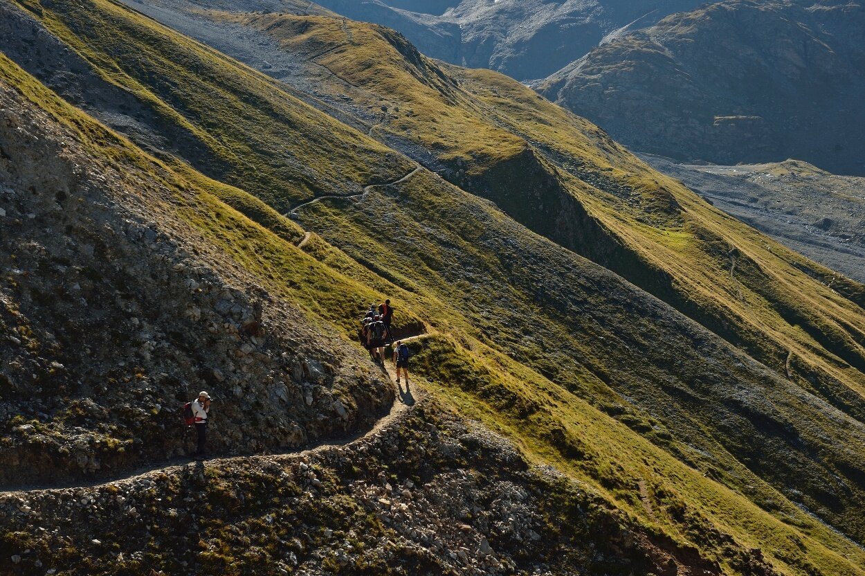 Img2 612015721 Default Variant