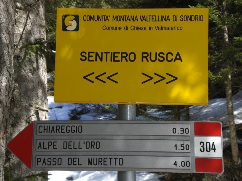 Img2 96363958 Default Variant