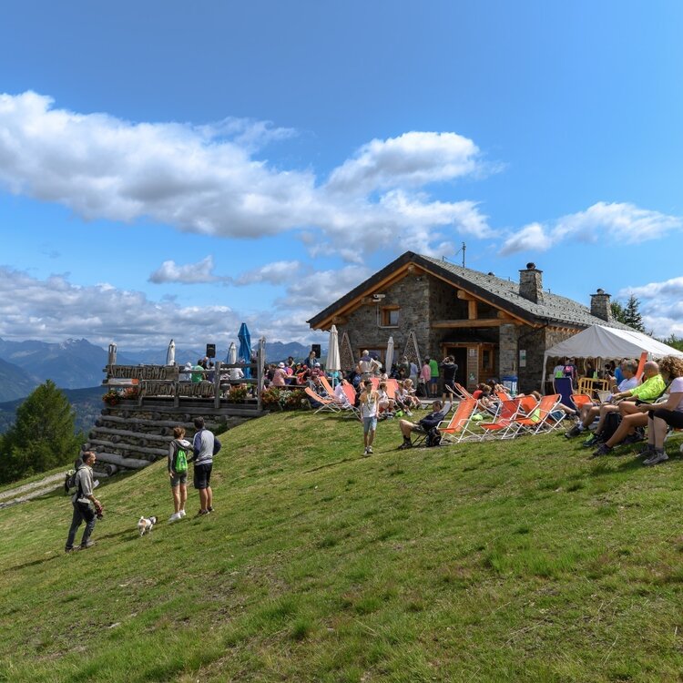 Themed route "Wood is life" - Malga Magnolta