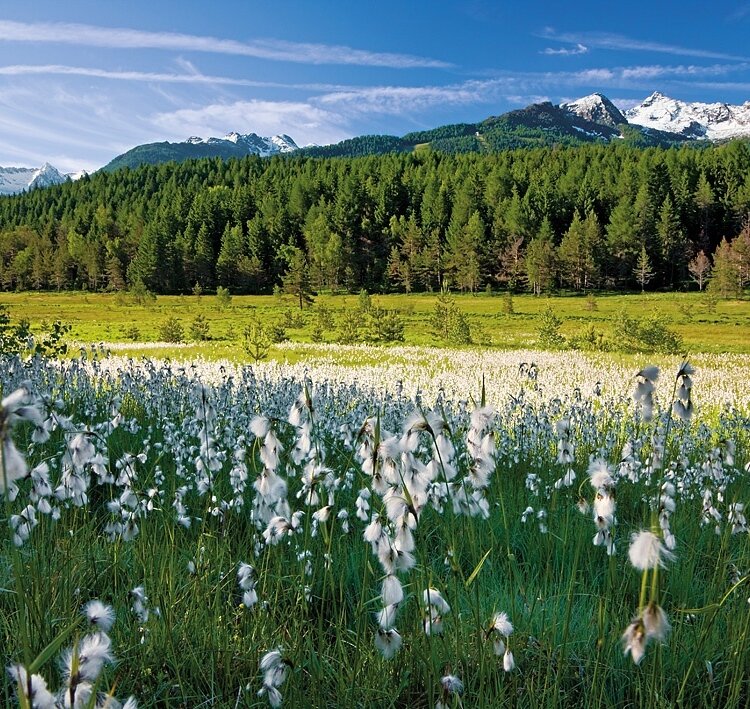 Pian di Gembro Nature Reserve