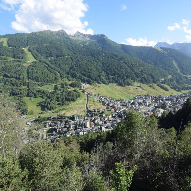 Sentiero Valentina n. 353