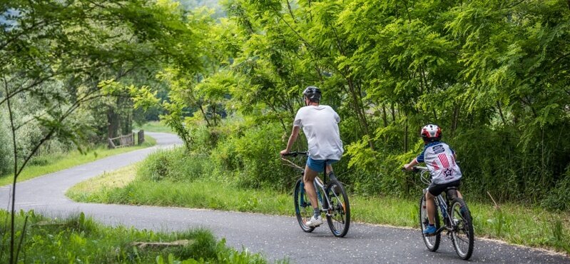 Beautiful stretch in the forest