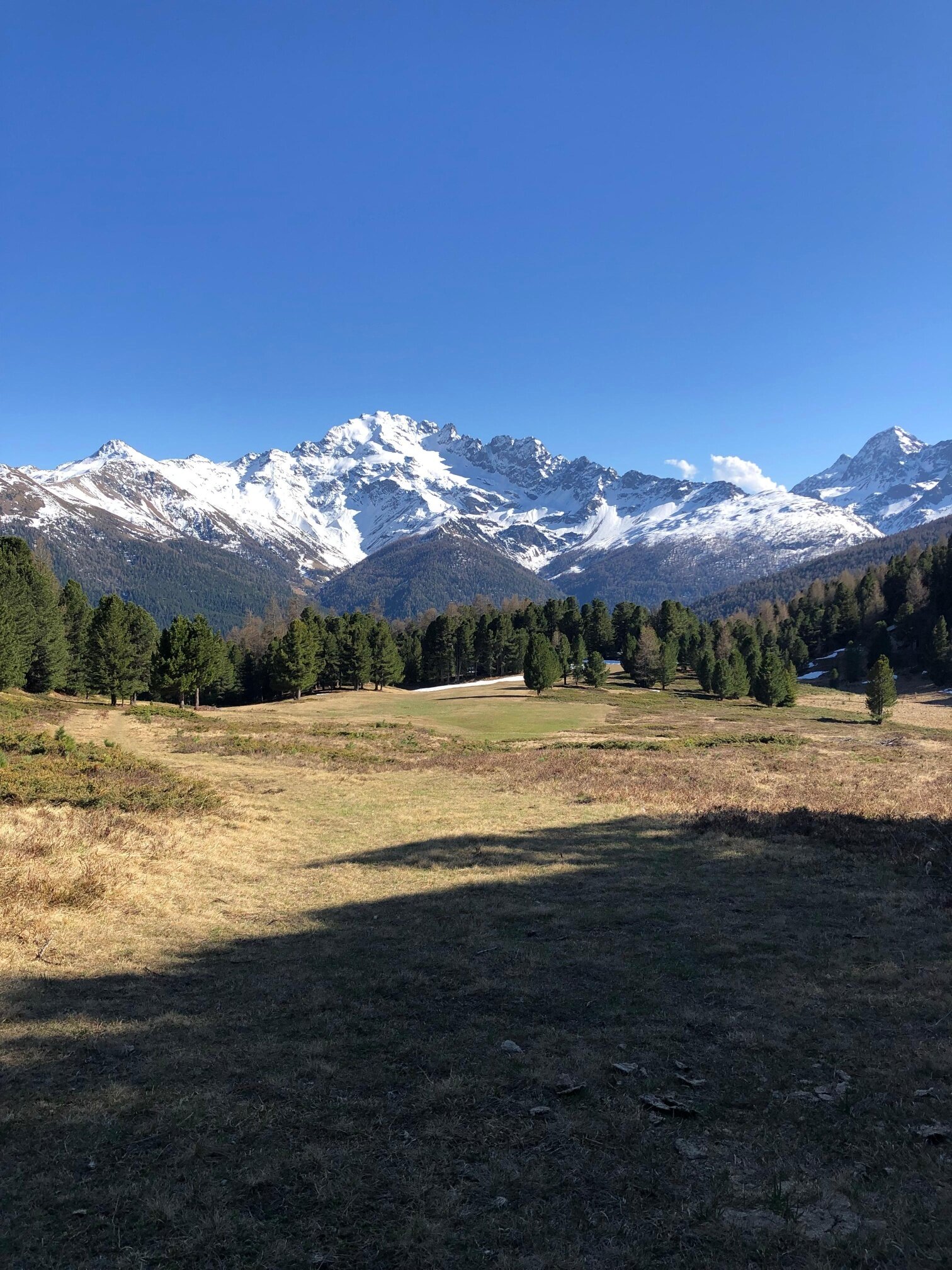 Ampissima piana tra Pozzaglieira e Vezzola con Cima Piazzi sullo sfondo