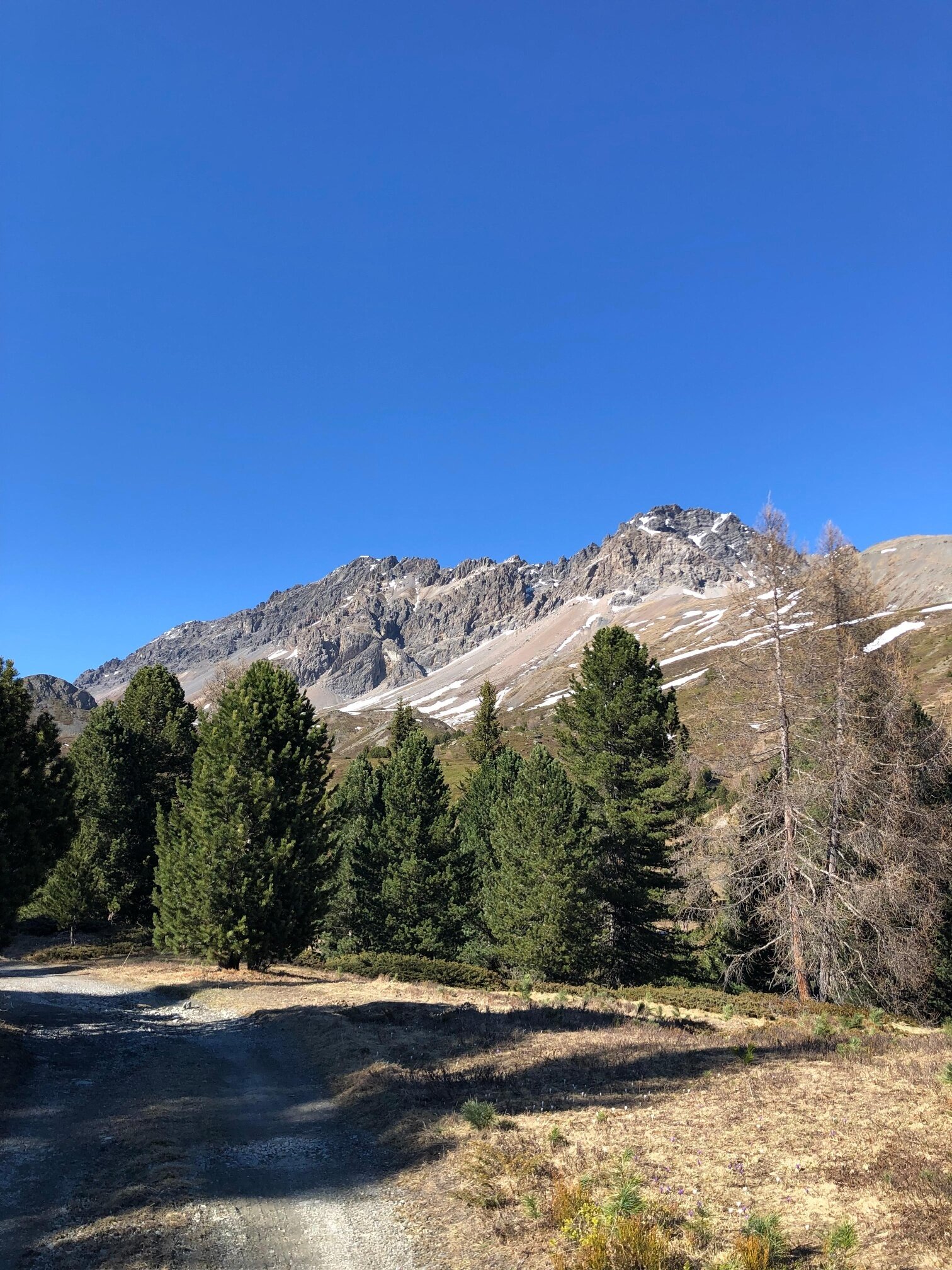 Vista sulla cima Doscopa e sulla Cima di Plator Occidentale