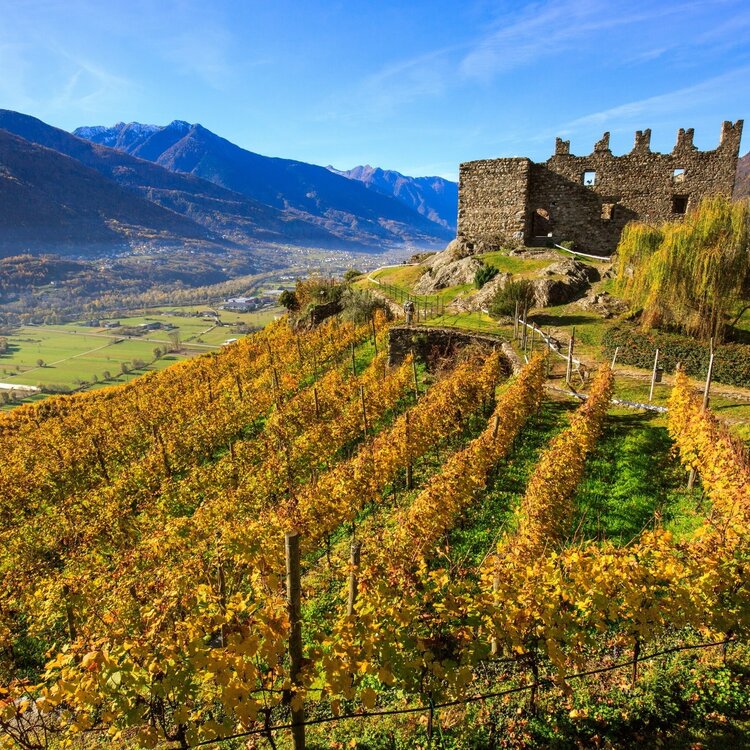 Sondrio - Ponchiera - Poggiridenti - Montagna in Valtellina