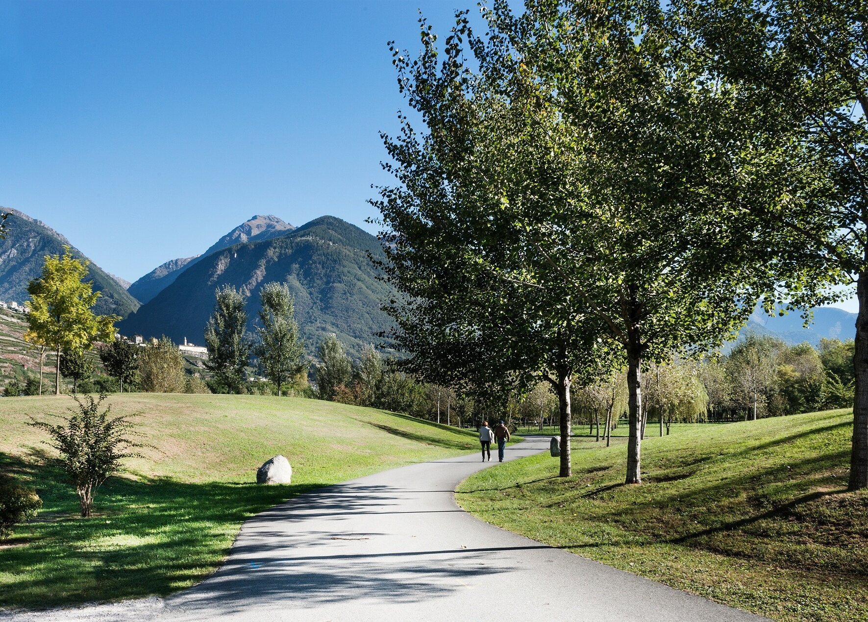 Img2 619288670 Default Variant