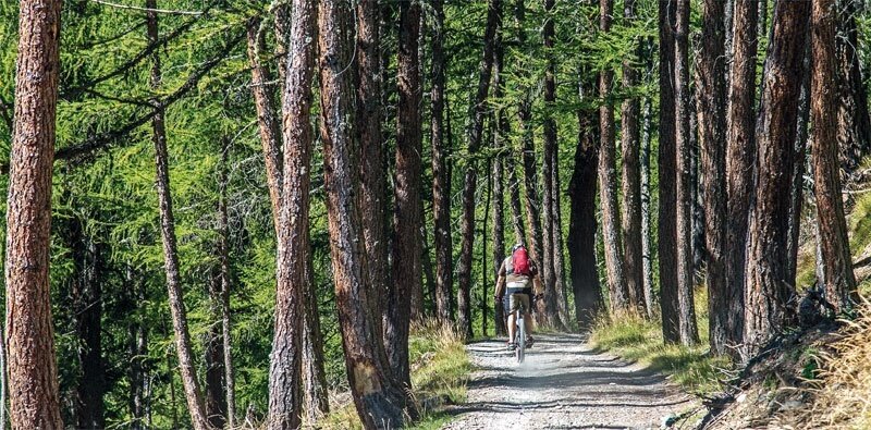 In the woods on the Ables military road.