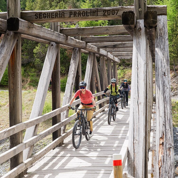 Stelvio-E-Bike-Tour: Radweg Valfurva – Ponte Tre Croci – Pedemontana