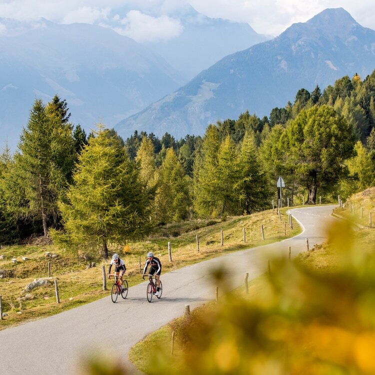 Stelvio Epic Rides: Mortirolo da Bormio